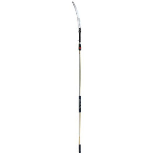 Pole Saws & Pruners