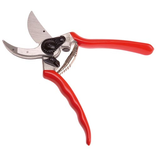Secateurs