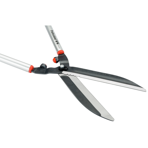 Shears