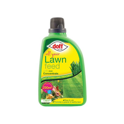 All Year Lawn Feed Concentrate 1 litre