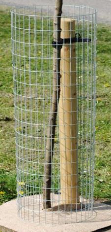 Weld Mesh Tree Guard- 300 x 1800mm